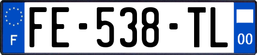 FE-538-TL
