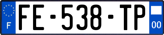 FE-538-TP