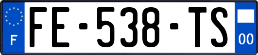 FE-538-TS