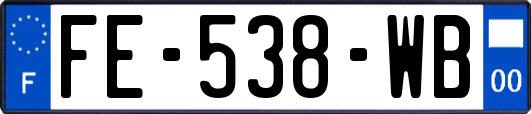 FE-538-WB
