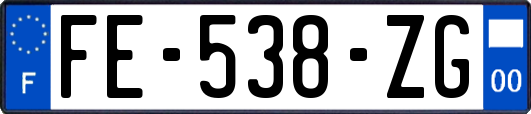 FE-538-ZG