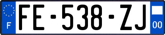 FE-538-ZJ