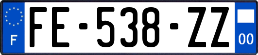 FE-538-ZZ