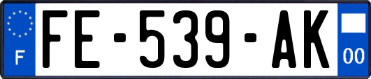 FE-539-AK