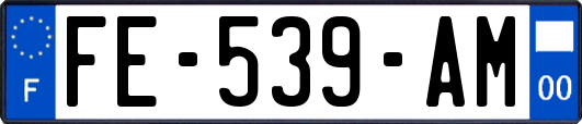 FE-539-AM