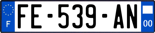 FE-539-AN