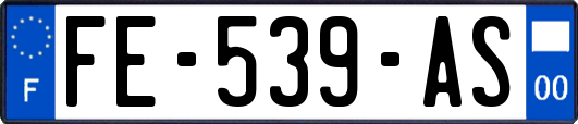 FE-539-AS