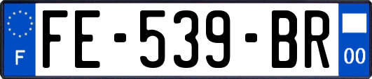 FE-539-BR
