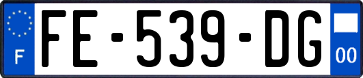 FE-539-DG