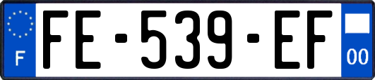 FE-539-EF
