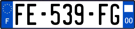FE-539-FG