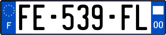 FE-539-FL