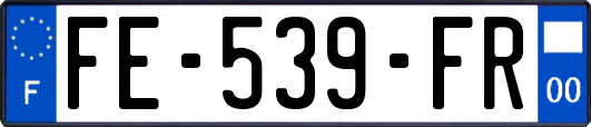 FE-539-FR