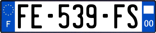 FE-539-FS