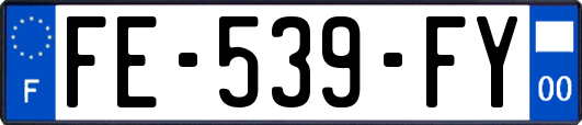 FE-539-FY