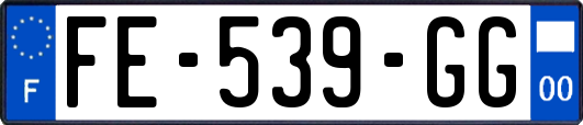 FE-539-GG