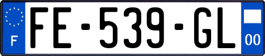 FE-539-GL