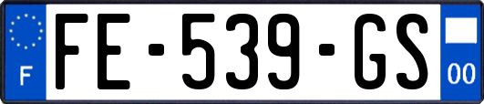 FE-539-GS