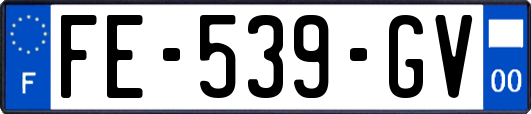 FE-539-GV