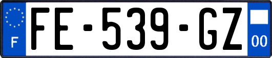 FE-539-GZ
