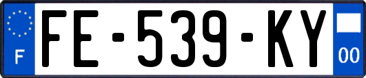 FE-539-KY