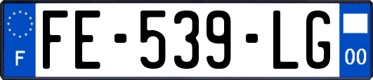 FE-539-LG
