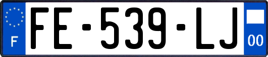 FE-539-LJ