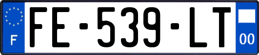 FE-539-LT
