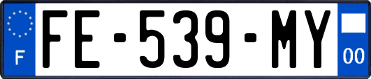 FE-539-MY