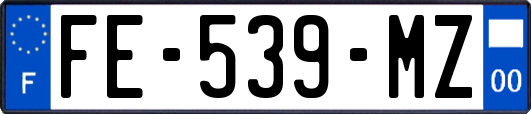 FE-539-MZ