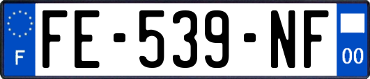 FE-539-NF
