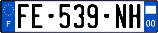 FE-539-NH