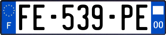 FE-539-PE