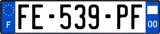 FE-539-PF