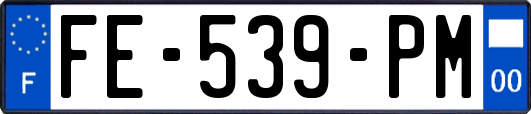 FE-539-PM