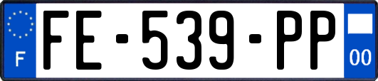 FE-539-PP