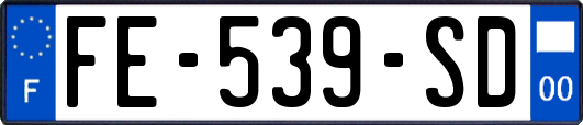 FE-539-SD