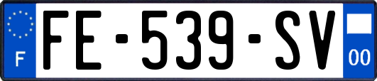 FE-539-SV