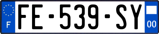 FE-539-SY