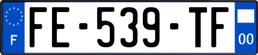 FE-539-TF