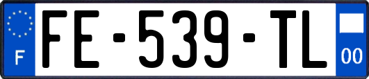 FE-539-TL