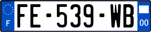 FE-539-WB