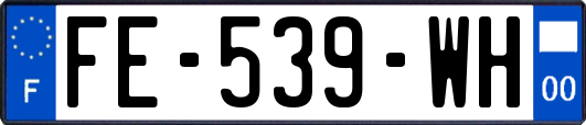 FE-539-WH