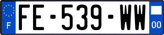 FE-539-WW
