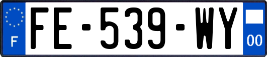 FE-539-WY