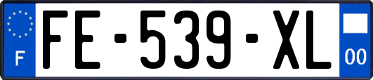 FE-539-XL