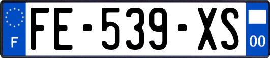 FE-539-XS