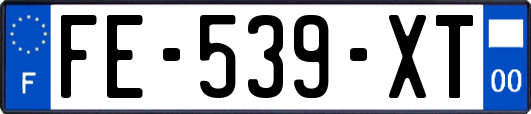 FE-539-XT
