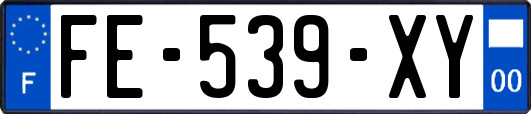 FE-539-XY