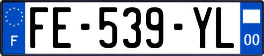 FE-539-YL